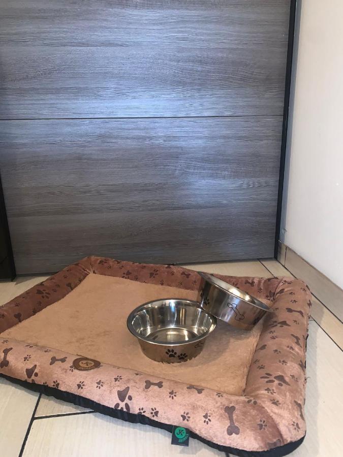 Apartment Owl โกเชนอฟ ภายนอก รูปภาพ